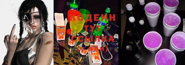 гидра Абаза