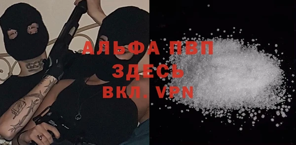 гидра Абаза