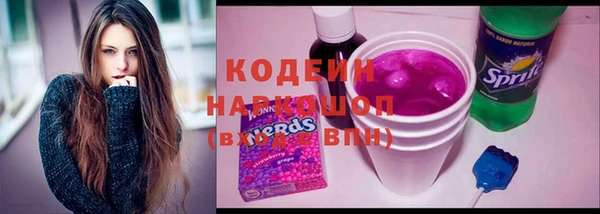 молекула духа Новозыбков