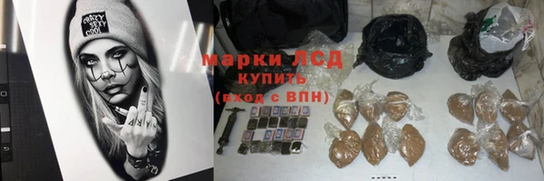 гидра Абаза