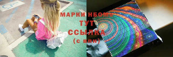 гидра Абаза