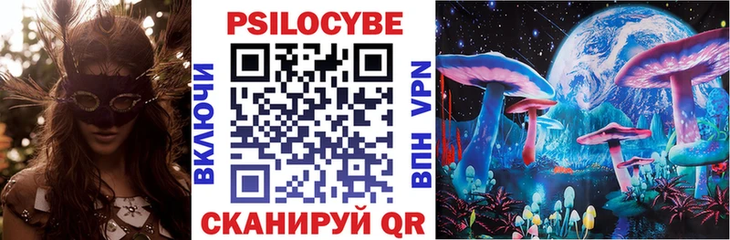 Псилоцибиновые грибы Psilocybe  Старая Купавна 